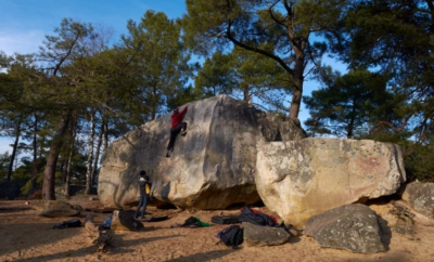 Que faire dans la forêt de Fontainebleau ?